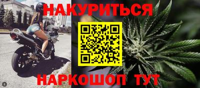 дмт Краснодар