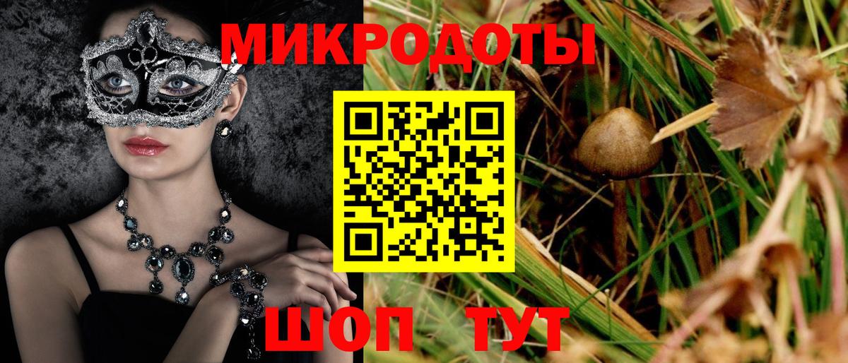 цена   Вход с VPN  Клин  Галлюциногенные грибы Cubensis 