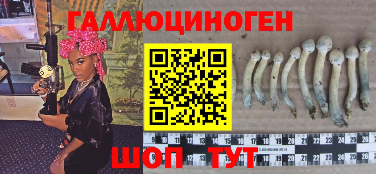 Псилоцибиновые грибы MAGIC MUSHROOMS Клин
